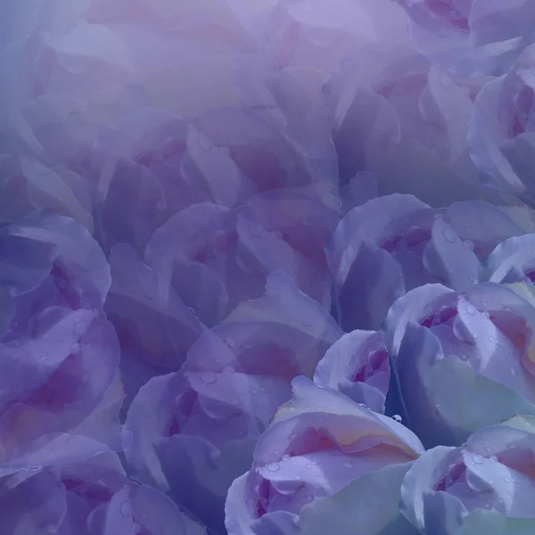 Floral background. Flowers  on purple background.  Light-blue  flowers roses.  Floral collage.  Flower composition. Nature.