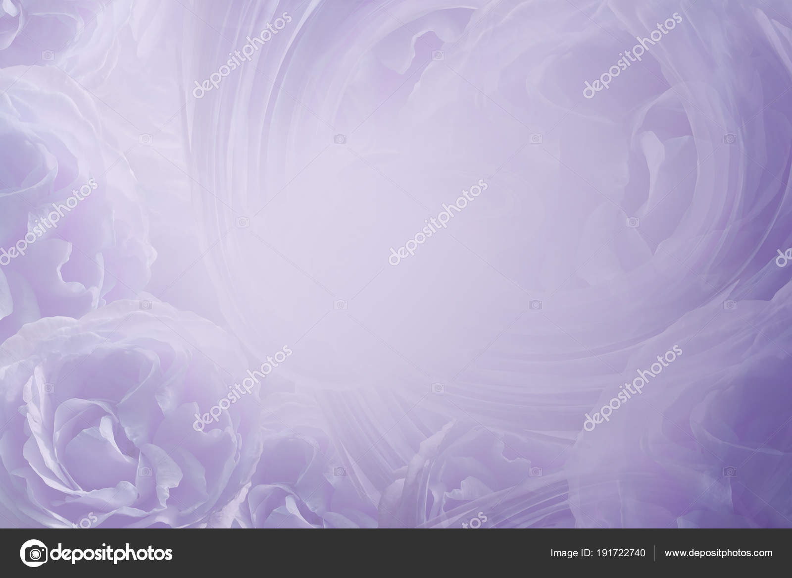 Foto ein 30,5/ x 45,7/ cm Fotodruck violett violett hoher Stauden-Phlox Amethyst Mehrj/ährige Blumen Hochformat Foto Farbe Bild Fine Art Print Fotografie von Andy Evans Fotos