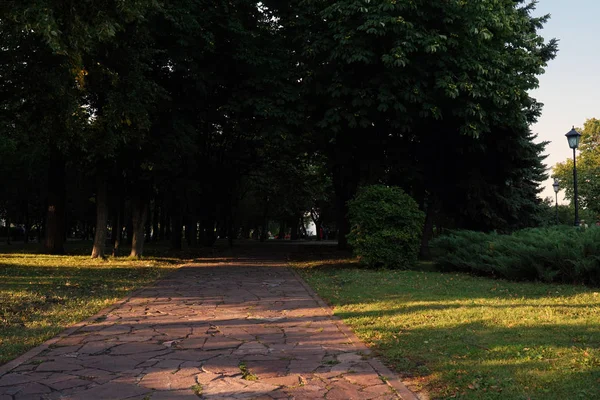 Park Stig Bänk Träd Arkitektur Århundrade Stad Blomma Utomhus Vår — Stockfoto