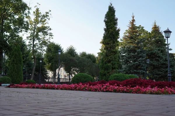 夏の公園の石の道 緑の都市公園ロシア — ストック写真