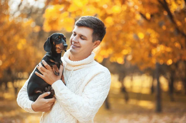Happy free time with beloved dog! Handsome young man staying in autumn sunny park smiling and holding cute puppy dachshund. Happy pets, friendship, emotions and love concepts