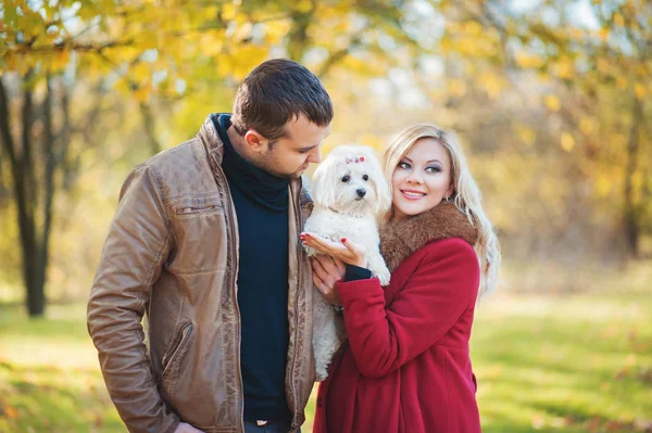 Yürüyüş için iyi zaman! Güzel aile çift sonbahar parkta vakit şirin Malta köpeği ile. Erkek ve kadın onların evde beslenen hayvan korkunç eğlenin. Aile, hayvan, hayat, insanlar, mevsimlik kavramları