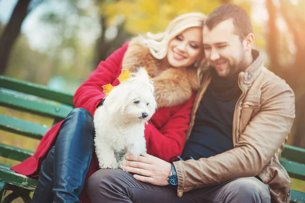 Hermosa pareja familiar con perro maltés lindo blanco pasar tiempo en el parque de otoño. Hombre y mujer sentados en el banco y divertirse con su mascota terrier. Familia, animales, vida, personas , — Foto de Stock