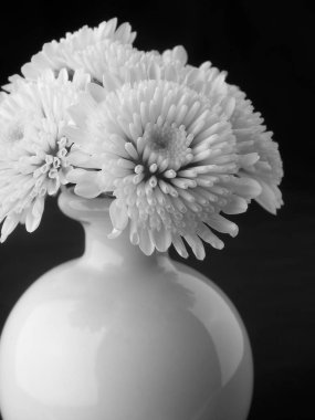 Beyaz bir Vazoda beyaz çiçekler. 