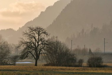 Havadan bakış açısı ile peyzaj. 