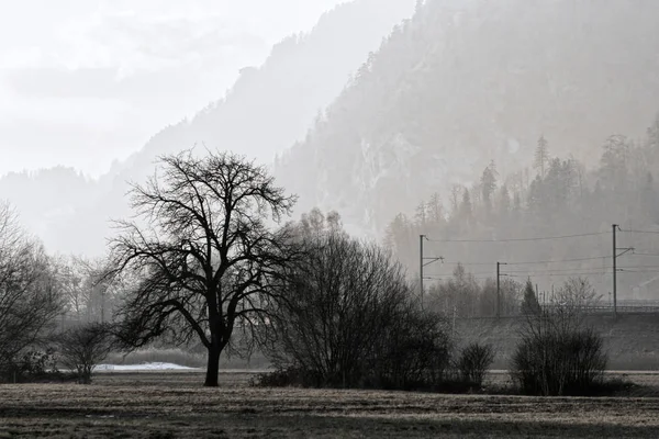 Havadan bakış açısı ile peyzaj. 