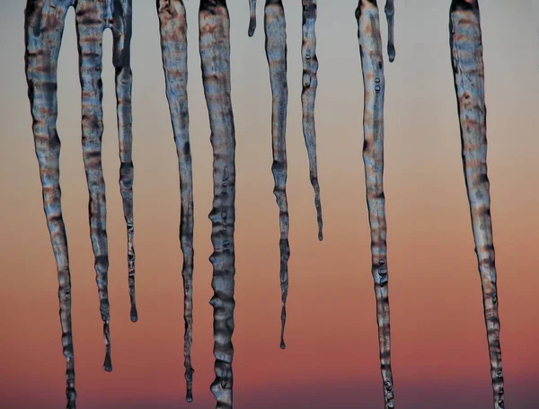 Ijspegels tegen een achtergrond van avondrood. — Stockfoto