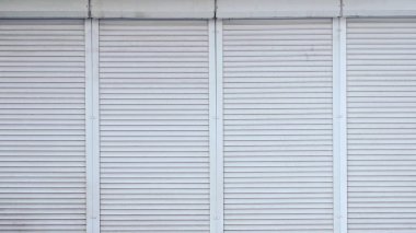 Kör bahis çizgili beyaz kökenli. 