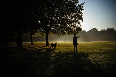 Genç bir kadın ve köpeğini silüeti. Parkta bir köpek ile yürüyen kadın. 