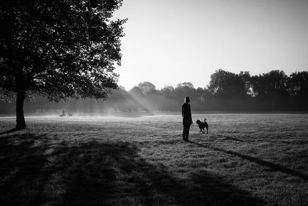 Vrouw loopt met een hond in een park met een andere honden op de achtergrond. — Stockfoto