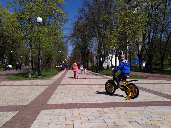 Çocuk bir bisiklet sürmek park boyunca. — Stok fotoğraf