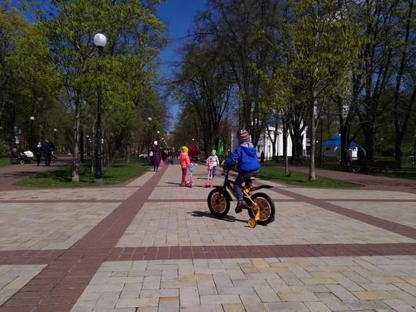 Děti na kole jezdí podél parku. — Stock fotografie