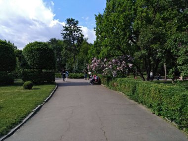 Botanik Bahçesi ve geçici bir fotoğraf nadir bitkilerin insanlar yürümek.