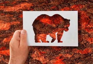 Man, flora and fauna. A hand holds a paper stencil of a bear against the background of a tree bark. 