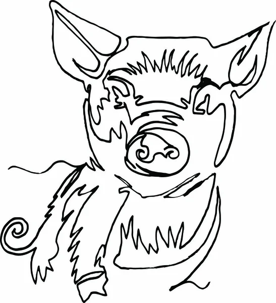 닫힌 꼬리, 펜으로 선 돼지 — 무료 스톡 포토