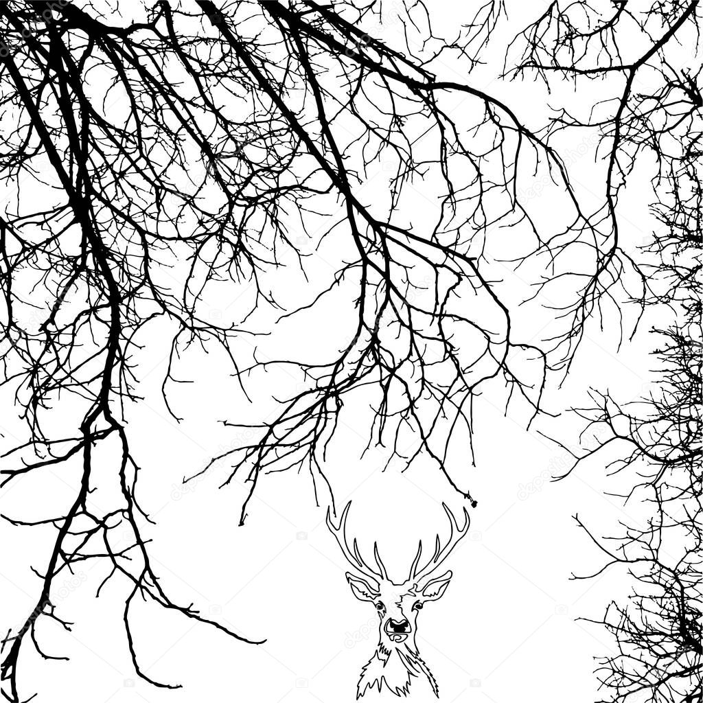 A portrait of a deer in  branches