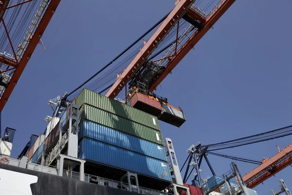 Grues et transporteurs dans le port de Rotterdam — Photo