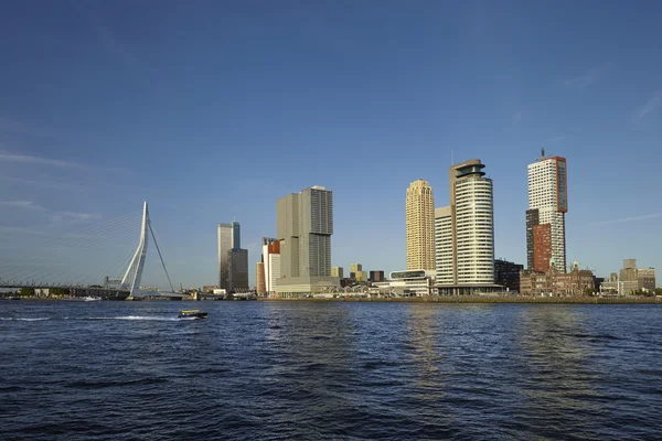 Rotterdams skyline med Erasmus-bron. Rotterdam, Nederländerna, — Stockfoto