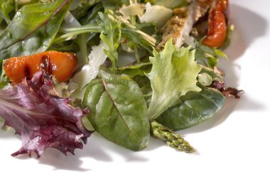 rucola, frisee, radicchio ve kuzu 's marul salata karışımı.