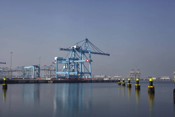 Fila de grandes guindastes portuários no porto de rotterdam — Fotografia de Stock