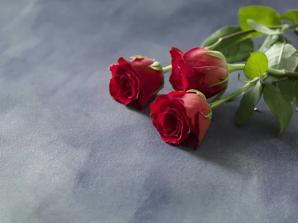 Празднование или свадебный букет из красных роз — стоковое фото