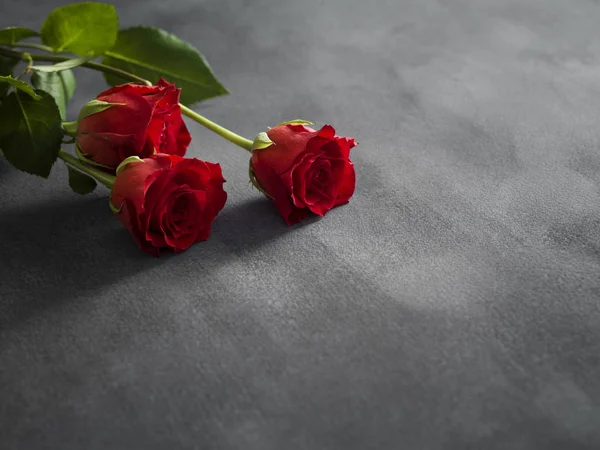 Состав роз на сером фоне — стоковое фото