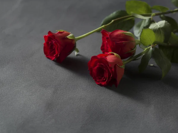 Trandafiri roșii aranjament pentru o înmormântare gri — Fotografie, imagine de stoc