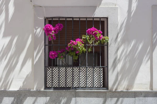 Rejilla Ventana Fachada Rústica Con Flores — Foto de Stock