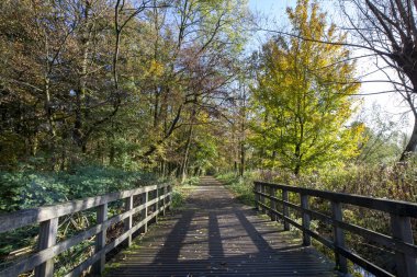 Rotterdam 'ın ufuk çizgisinde Kralın Bos' undan görüldüğü gibi görün