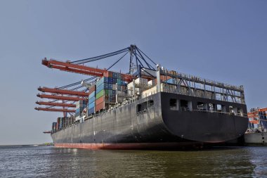 Rotterdam Limanı. Hollanda 'da. Büyük liman vinçleri yükleniyor 