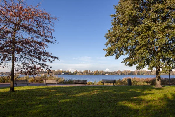 Uitzicht op de skyline van Rotterdam vanuit het Kralingse Bos — Stockfoto