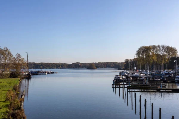 Uitzicht op de skyline van Rotterdam vanuit het Kralingse Bos — Stockfoto