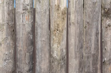 Ahşap doku. arkaplan eski panelleri