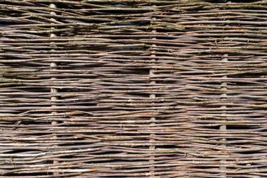 Güzel yeşil ve kırmızı örgülü dalların arkaplanı