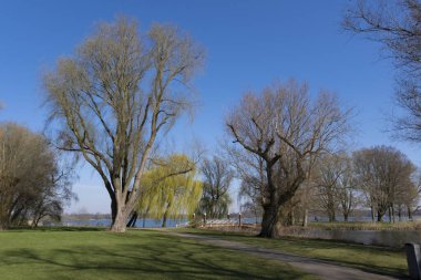 Rotterdam 'ın ufuk çizgisinde Kralın Bos' undan görüldüğü gibi görün
