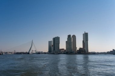 Rotterdam şehri, nehir kıyısından 'de kop van zuid' manzarası