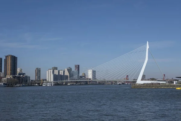 Miasto Rotterdam Widok Kop Van Zuid Brzegu Rzeki — Zdjęcie stockowe