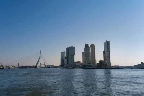 Paesaggio Urbano Rotterdam Vista Kop Van Zuid Dal Lungofiume — Foto Stock