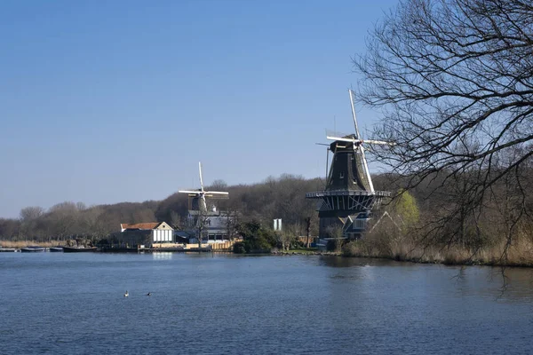 Ανεμόμυλοι Στην Ακτή Του Kralingse Plas Στο Rotterdam Ολλανδία — Φωτογραφία Αρχείου