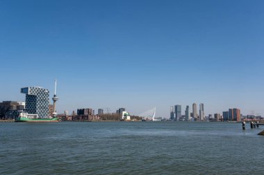 Hollanda 'nın Rotterdam kentindeki Erasmus Köprüsü ve binalarının panoramik görüntüsü
