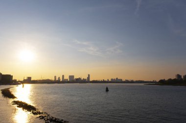 Rotterdam Skyline ile Erasmusbrug köprüsü sabah saatlerinde Rotterdam, Hollanda 'da