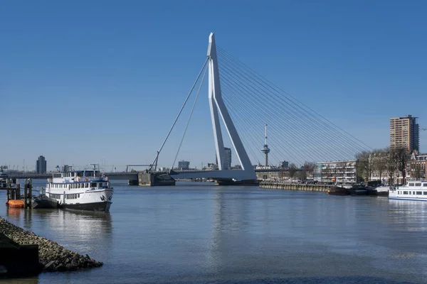 Rotterdam Skyline Mostem Erasmusbrug Při Západu Slunce Rotterdamu Nizozemsko — Stock fotografie