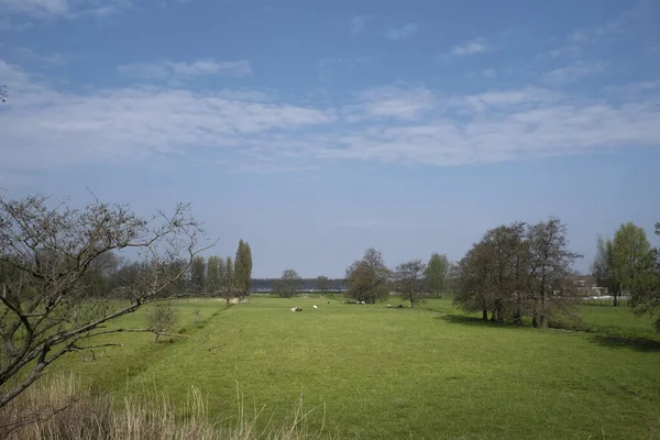 Nederlands Polderlandschap Vroeg Ochtend Een Zonnige Dag Het Voorjaarsseizoen — Stockfoto
