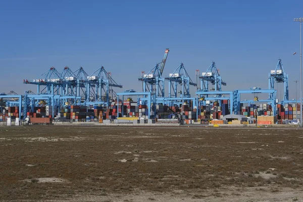 Maasvlakte Rotterdam Vista Aerea Del Container Terminal Nel Porto Maasvlakte — Foto Stock