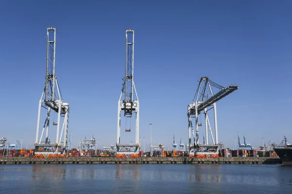 Huge Cranes Ships Anchored Harbor International Commercial Port City Rotterdam — Stock Photo, Image