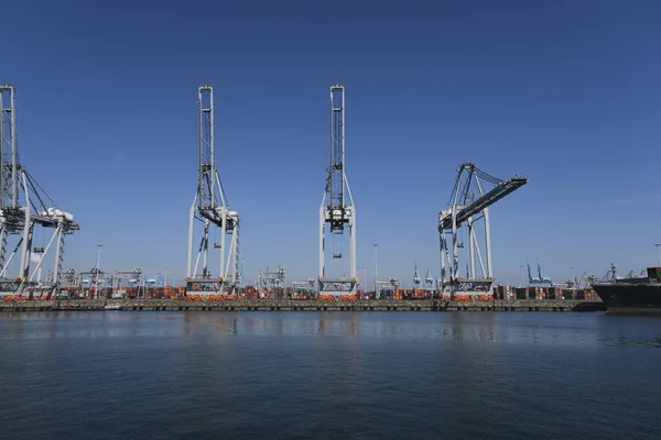 Τεράστιοι Γερανοί Και Πλοία Αγκυροβολημένα Διεθνές Εμπορικό Λιμάνι Πόλη Του — Φωτογραφία Αρχείου