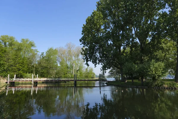 Prachtige Herfstscene Het Rotterdamse Stadspark Landschap — Stockfoto