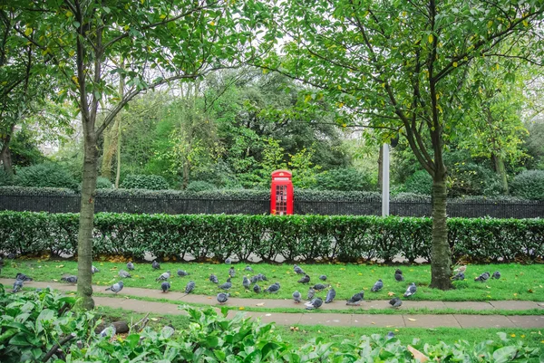 Telefon kulübesi Park yakınındaki güvercinler