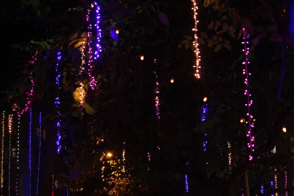 Vánoční nebo Diwali strom osvětlení obřad — Stock fotografie