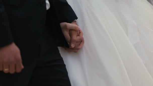 Две руки жениха и невесты — стоковое видео